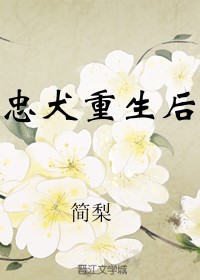 无敌大皇帝